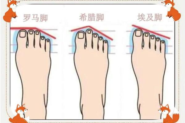 你的脚型暗藏的命运密码,快来一探究竟! 你的脚型暗藏的命运密码,快来一探究竟!