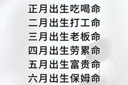 上等命格的含义与命运的深层探讨