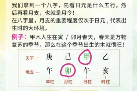 如何根据命理匹配八字，优化人生选择与运势提升