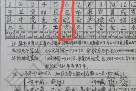 了解木命土命：属相与五行的深刻关联