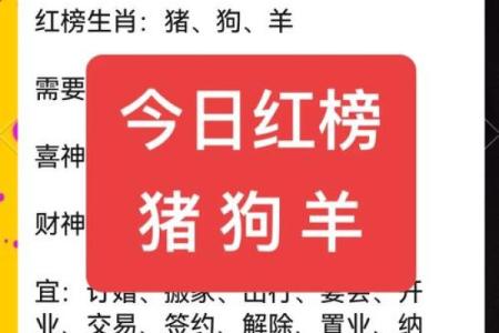 属狗女生的孩子命好：未出生的未来与生肖的奇妙联系