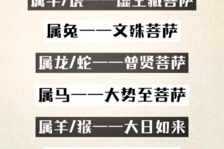 属龙的人五行属什么？探秘命运的奥秘与人生道路！