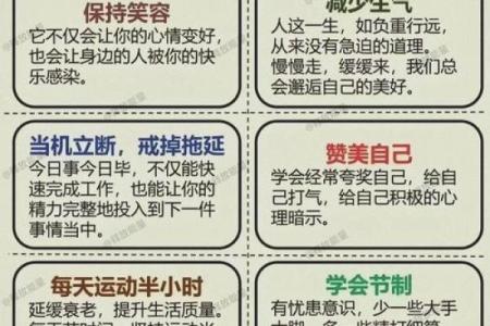 命由天定，人生路程自我掌控的智慧之旅