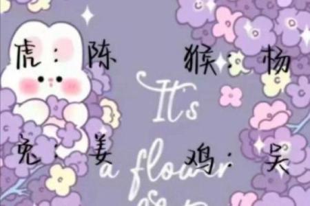 属龙土命者的独特魅力：如何为自己取个有趣的网名