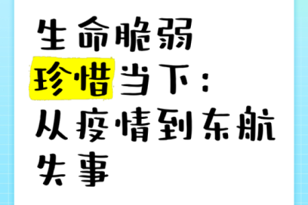 从空难中看生命的脆弱与强韧：一种反思与感悟