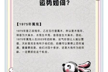 属兔的24岁命运：揭秘生肖兔的未来与潜力