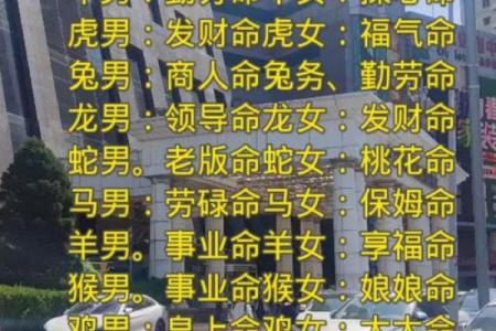 如何查询自己的命格属相，揭开命运的神秘面纱