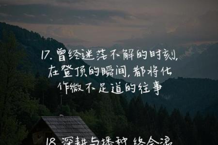 韭菜命：在生活的田野中挣扎与成长的哲学思考