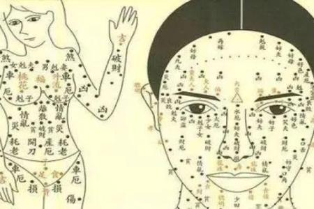 舌头太长的人命格解析：天生口才与挑战并存的命运