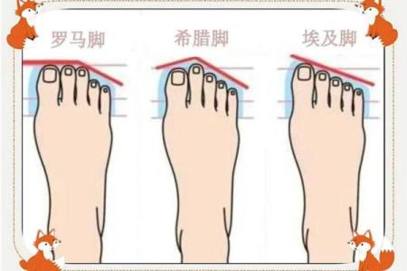 你的脚型暗藏的命运密码，快来一探究竟！