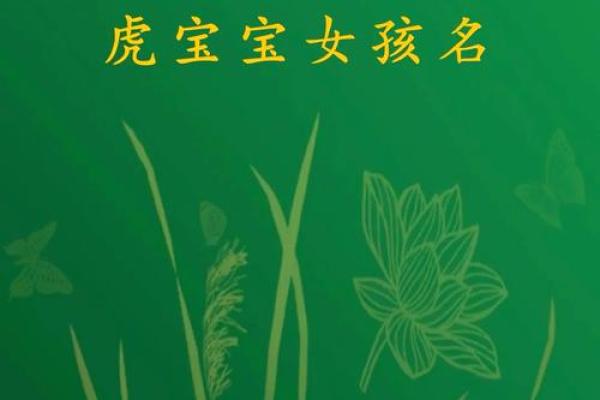 上午出生的女虎宝宝命运解析：如何为其起名与培养