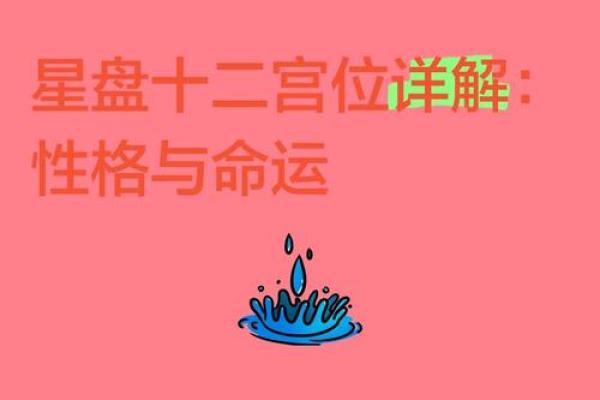 命座与命星:探秘星空下的命运密码与性格奥秘 命座与命星:探秘星空下的命运密码与性格奥秘