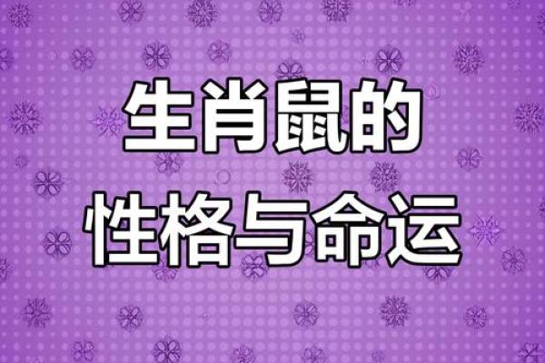 生于六月的鼠:命运与性格的深刻解析 生于六月的鼠:命运与性格的深刻解析