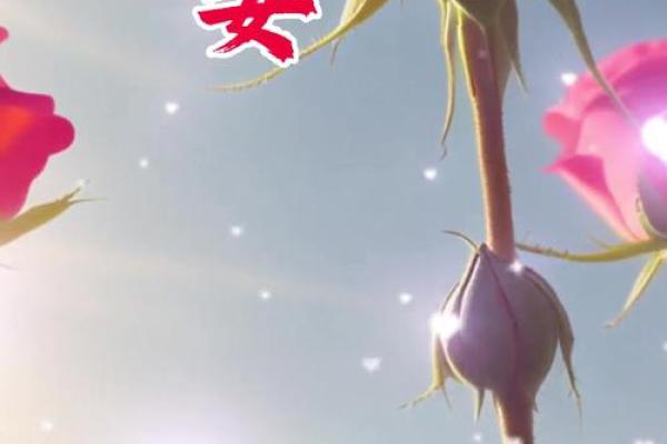 牛年五月十九出生的女性:命理与人生之路探讨 牛年五月十九出生的女性:命理与人生之路探讨