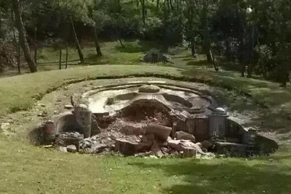 山头命坟地理想树种选择,助力家族运势与环境和谐! 山头命坟地理想树种选择,助力家族运势与环境和谐!