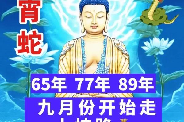 七七年属蛇的火命解析:揭秘命理与运势的关系 七七年属蛇的火命解析:揭秘命理与运势的关系