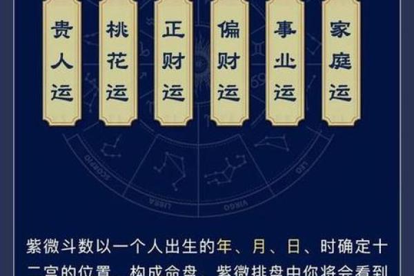 揭示“富贵命”的秘密：如何通过命理分析走向人生巅峰