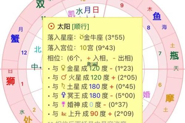 揭秘命理：什么命与太阳命最为相合？