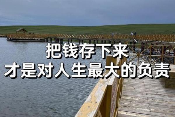 嗜钱如命：在金钱驱动下的人生追逐与思考