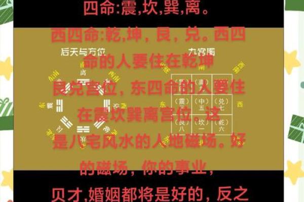 从易经看命卦：解密命运的神秘密码与人生启示