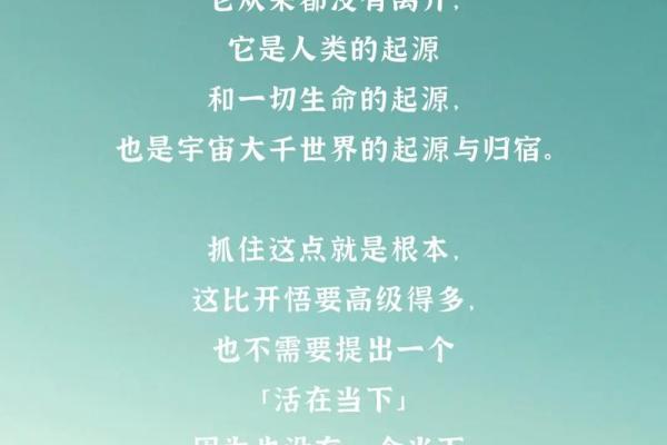始于命,终于命:人生的起源与归宿探索 始于命,终于命:人生的起源与归宿探索