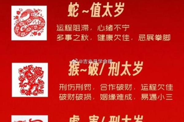 女命太岁星解析:揭秘她们的命运与运势 女命太岁星解析:揭秘她们的命运与运势