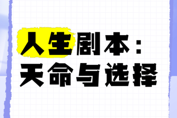 命命鸟：在命运与选择间翱翔的人生旅程