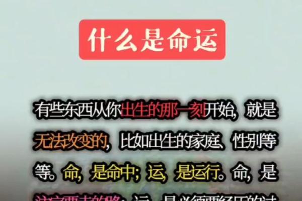 命运天注定，成语揭示人生智慧