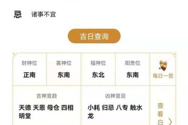 女命龙虎命解析：解锁命理背后的神秘力量