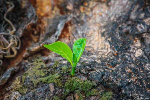 对母亲的担忧：生命的脆弱与爱的永恒