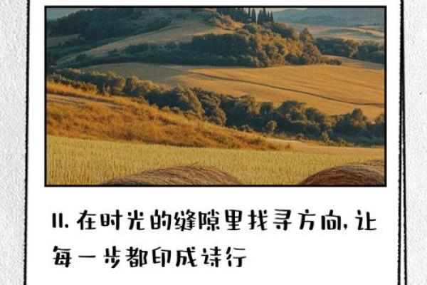 韭菜命:如何在风雨中坚定成长与蜕变 韭菜命:如何在风雨中坚定成长与蜕变