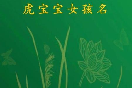 上午出生的女虎宝宝命运解析：如何为其起名与培养