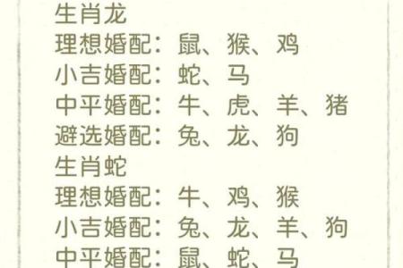 属相与幸运数字的神秘联系：探寻命运的密码
