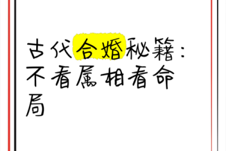 沙中土命与他命合婚的完美指南，探寻幸福的契机与相处之道！