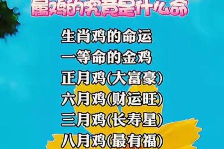 生来就是奴才命？揭秘这些生肖的命运与个性之谜