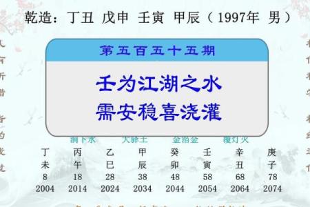 揭开壬子水命的神秘面纱：了解其特点与影响