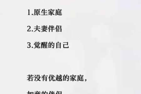 属狗人49岁那年：命运的转折与人生的智慧之旅