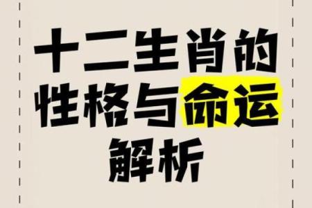 十二属相男人命运解析：独特个性与生命轨迹的探索