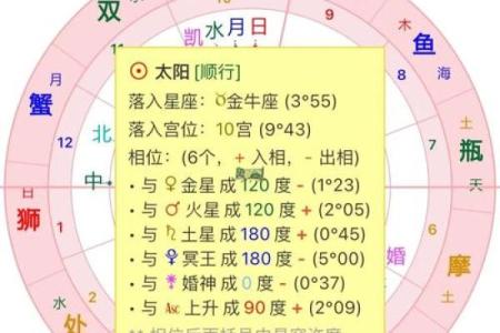 揭秘命理：什么命与太阳命最为相合？