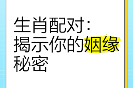 命理配对：揭示最差配对的男女命运之谜