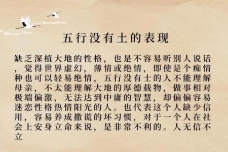 沙中土命：了解五行缺失的秘密与补救之道