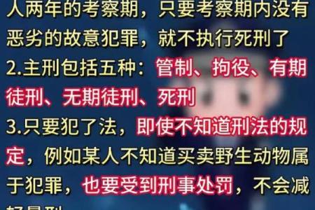 命运的无恩之刑：人生中的无奈与反思