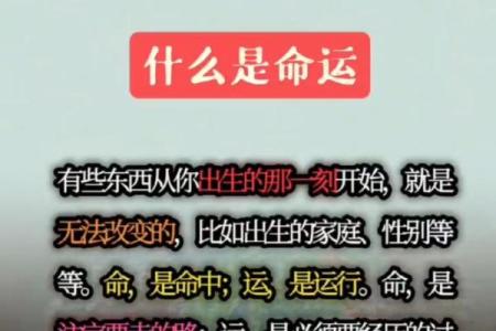 命运天注定，成语揭示人生智慧