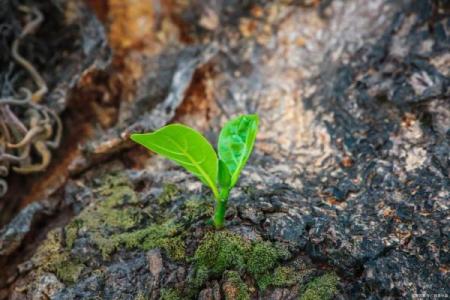 对母亲的担忧：生命的脆弱与爱的永恒
