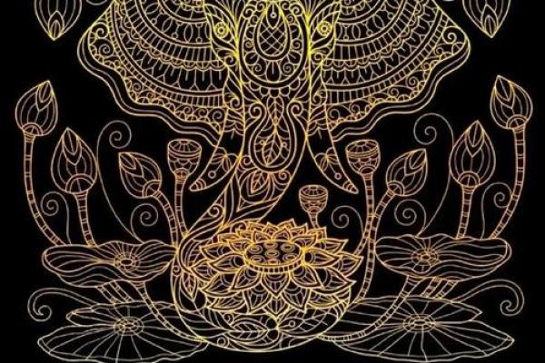 木命与水命的完美搭配：命理中的和谐之道