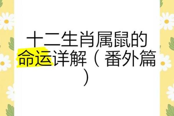 1972年属鼠的命理分析与人生运势探讨