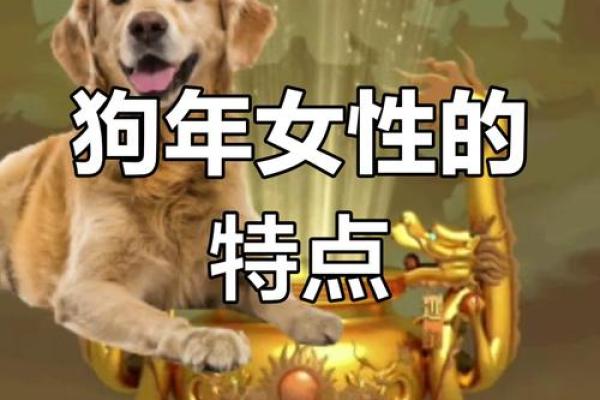 属狗的1982年,揭秘“狗年”的命运与性格特征! 属狗的1982年,揭秘“狗年”的命运与性格特征!