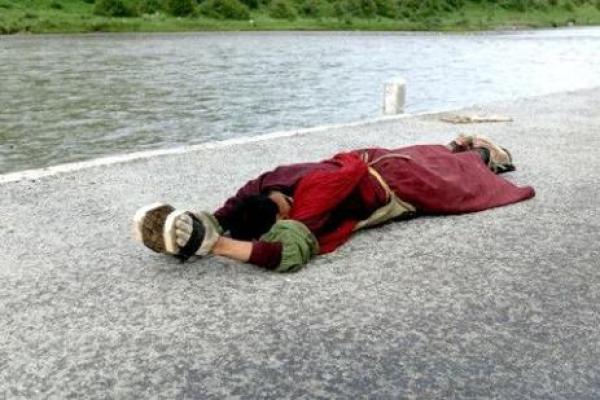 属兔1988：命运之旅与生命的智慧