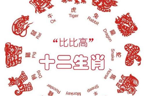 揭示十二生肖女性命运不佳的秘密与应对之道