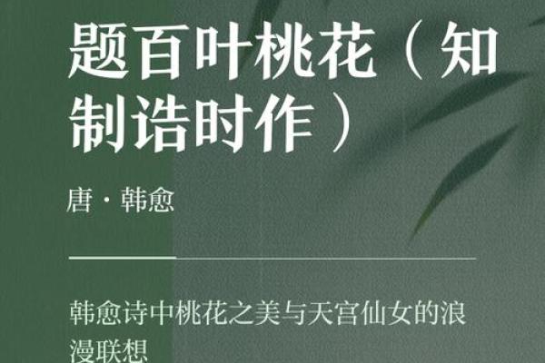 什么命的有双重桃花:揭开你的情感新篇章 什么命的有双重桃花:揭开你的情感新篇章
